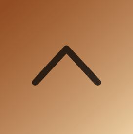 Scroll to Top